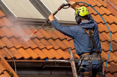 Démoussage et hydrofuge de toiture aux Autels-Villevillon